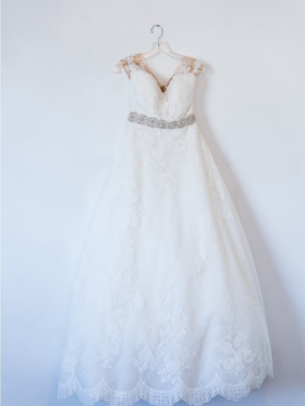 Pronovias Gold Logo on Cream Tag